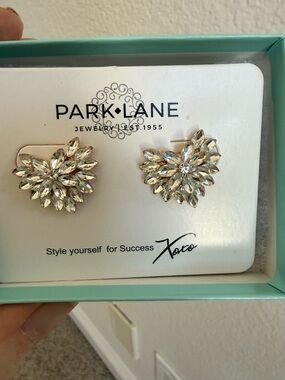 Park Lane Rhinestone Heart Earrings - New!